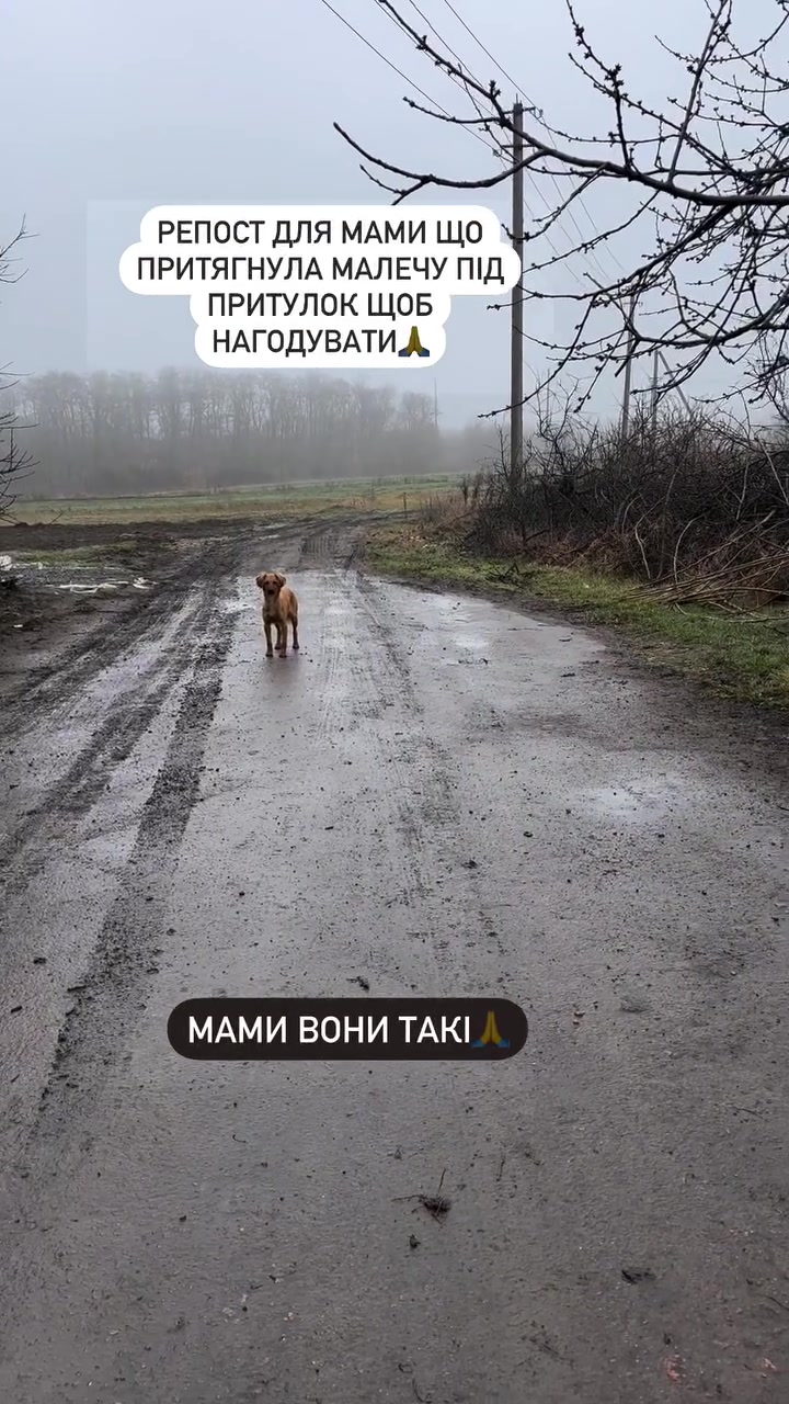 @Світлана Ткачук