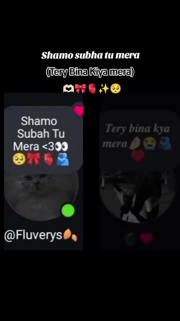 @❤️𝐙𝐢𝐝𝐝𝐢𝐢 𝐐𝐮𝐞𝐞𝐧❤️