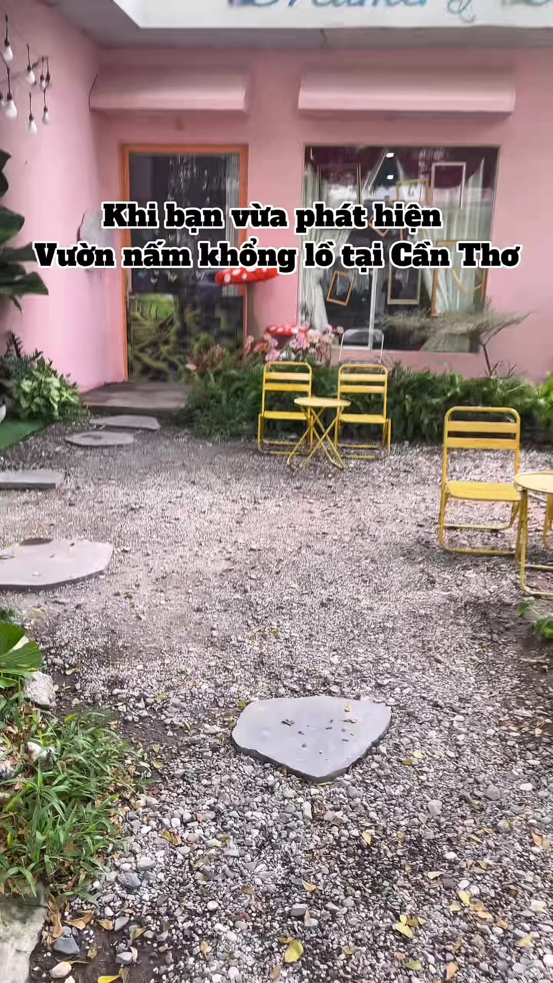 @Tiệm tr&agrave; Dreamer&rsquo;s Land