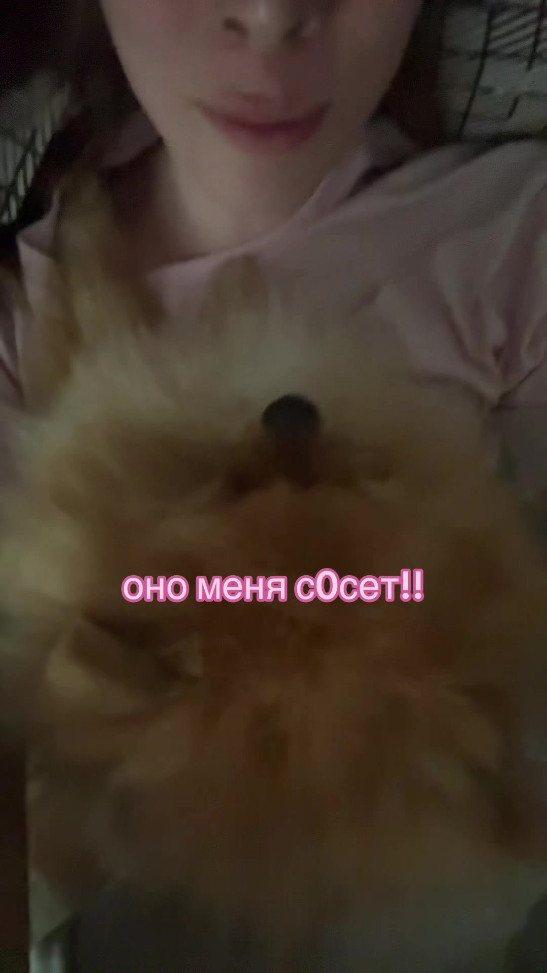 @miraforever