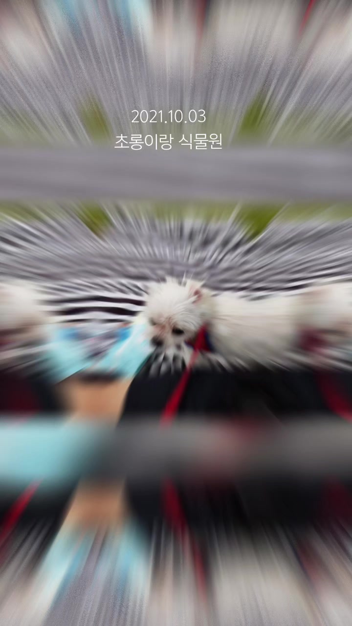 @초롱맘