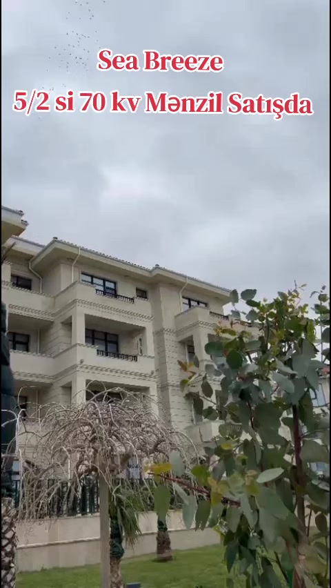 @X&uuml;susi Emlak