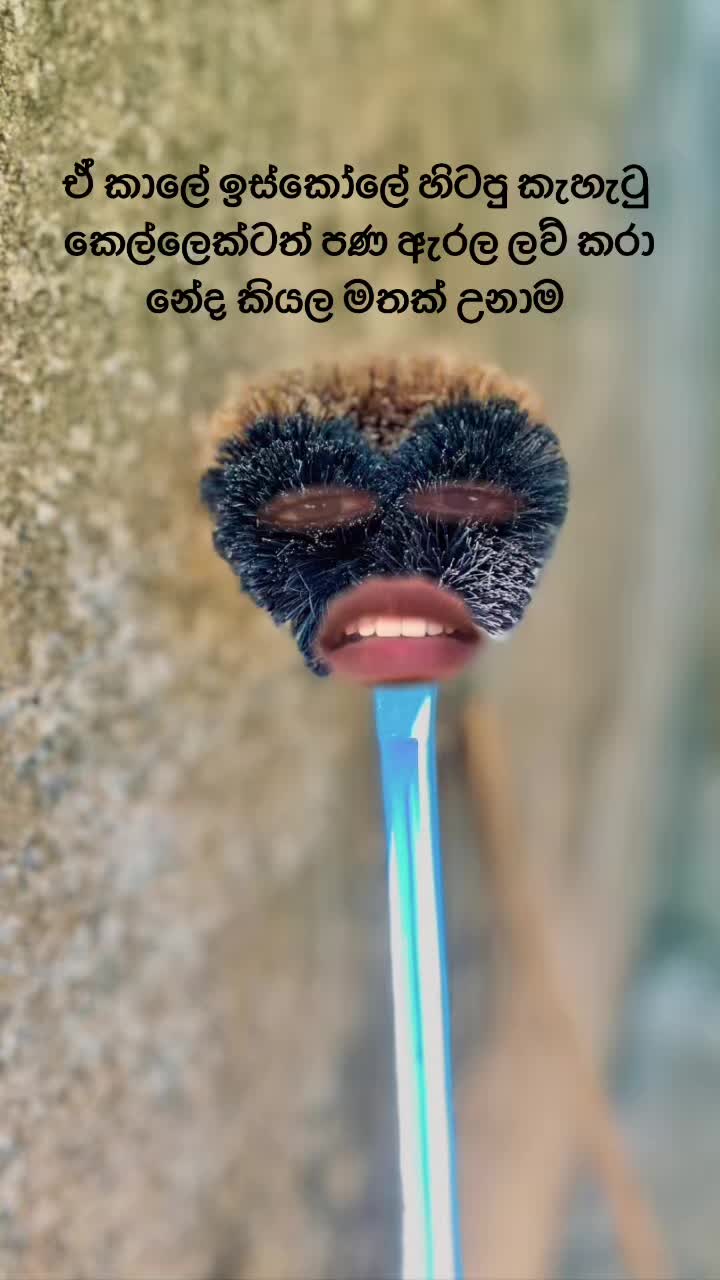 @Dunnama_kannam_kala_duwannam🐷
