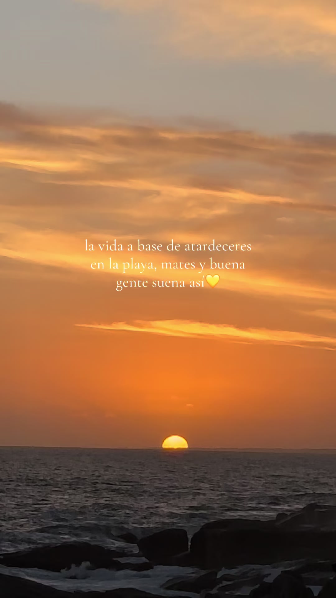 @mica.trogo