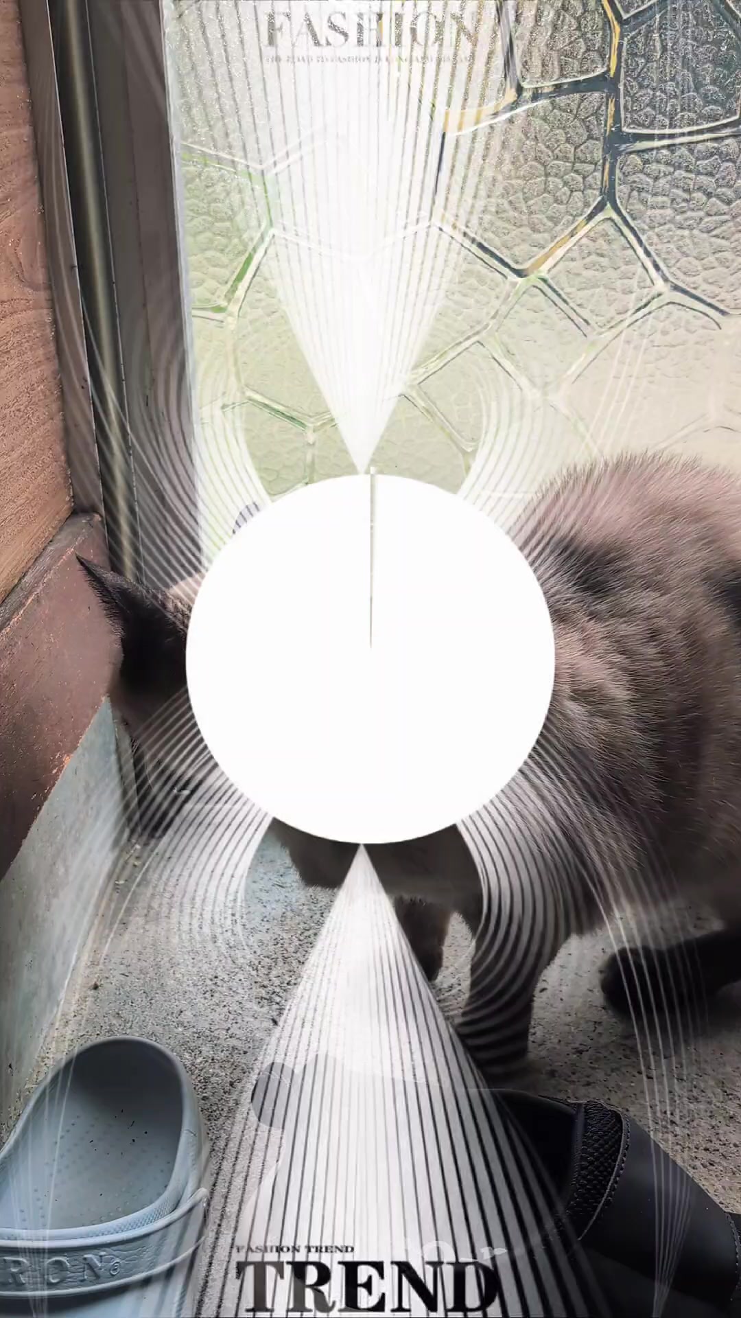 @睡眠プロデュース