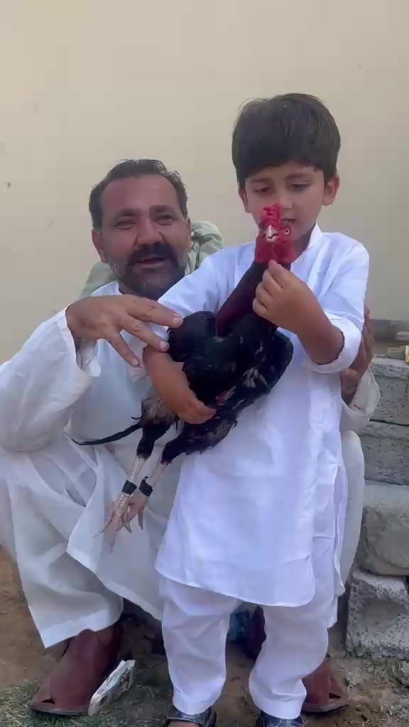 @عمران _خان_ وتہ خیل