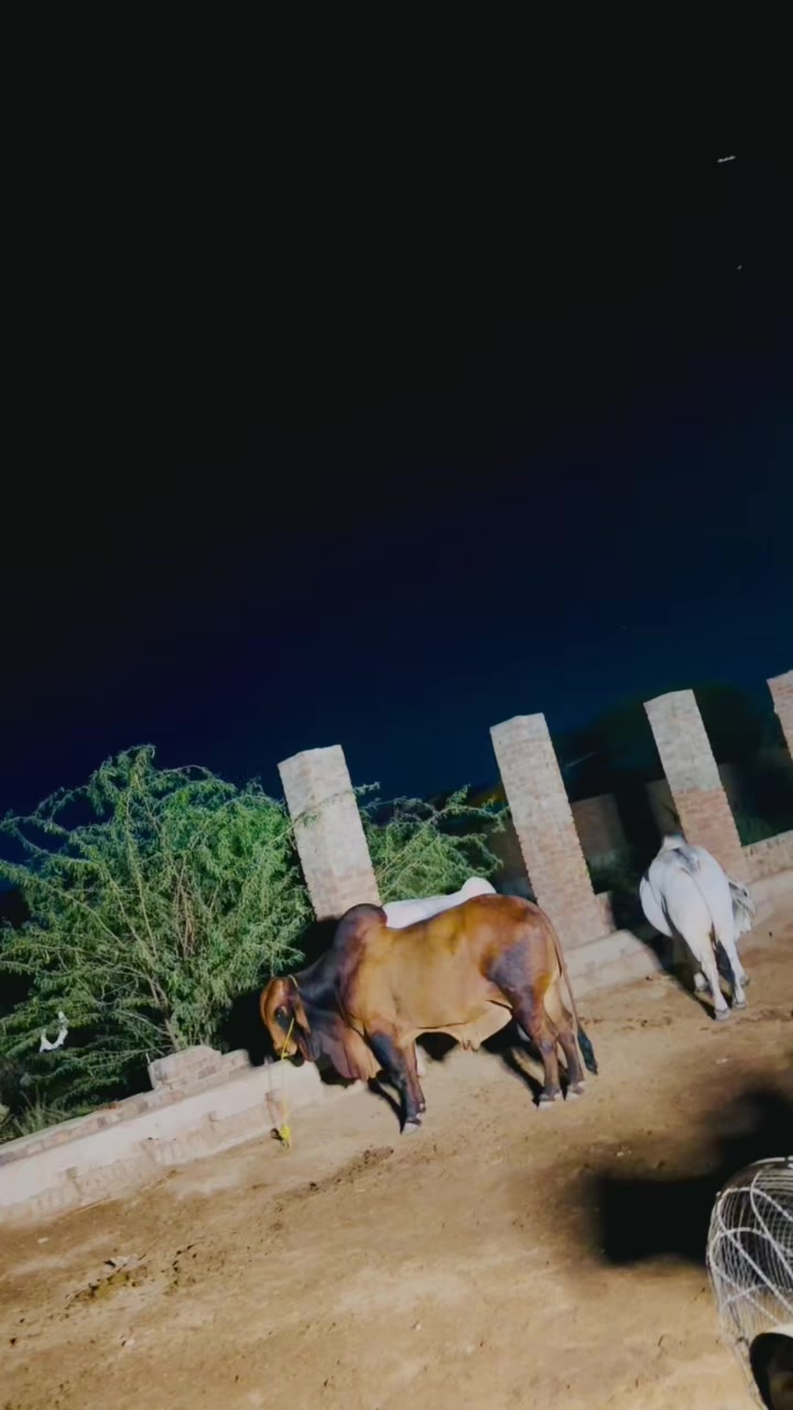 @Danish Qureshi786