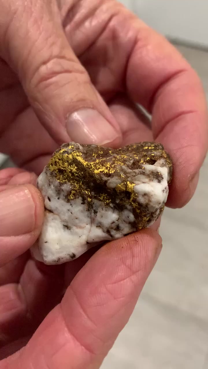 @Gold 22