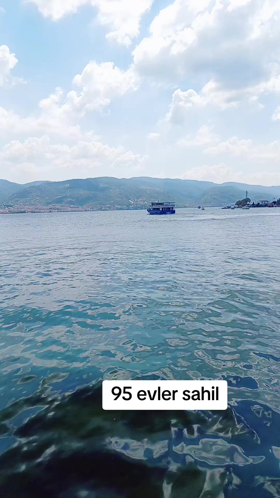 @kingferhat41