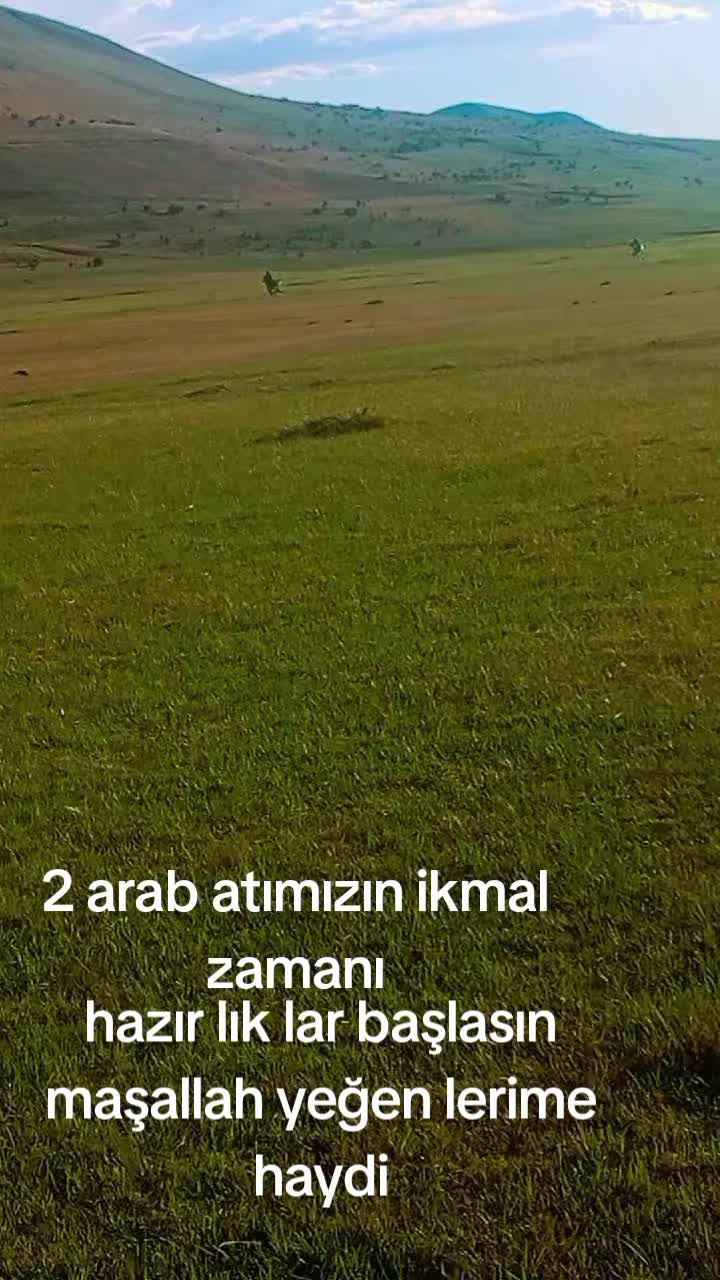 @çatlı şaho