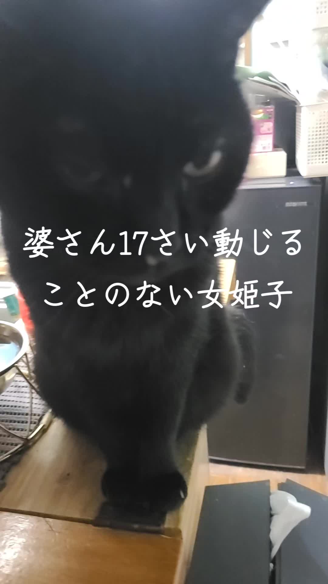 @沙亜代
