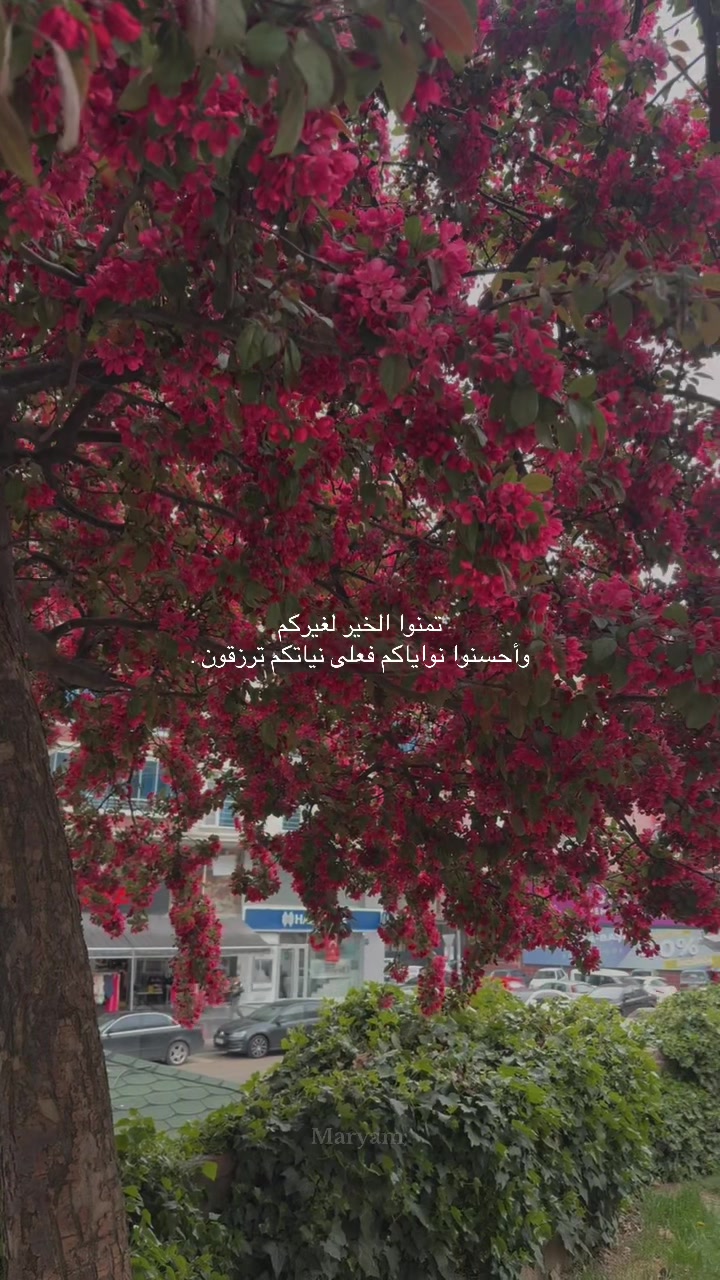@Maryam