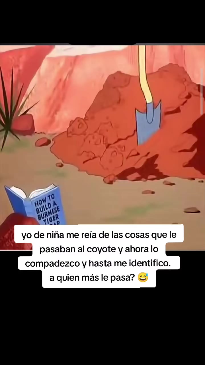 @Cecilia Angelica Rod