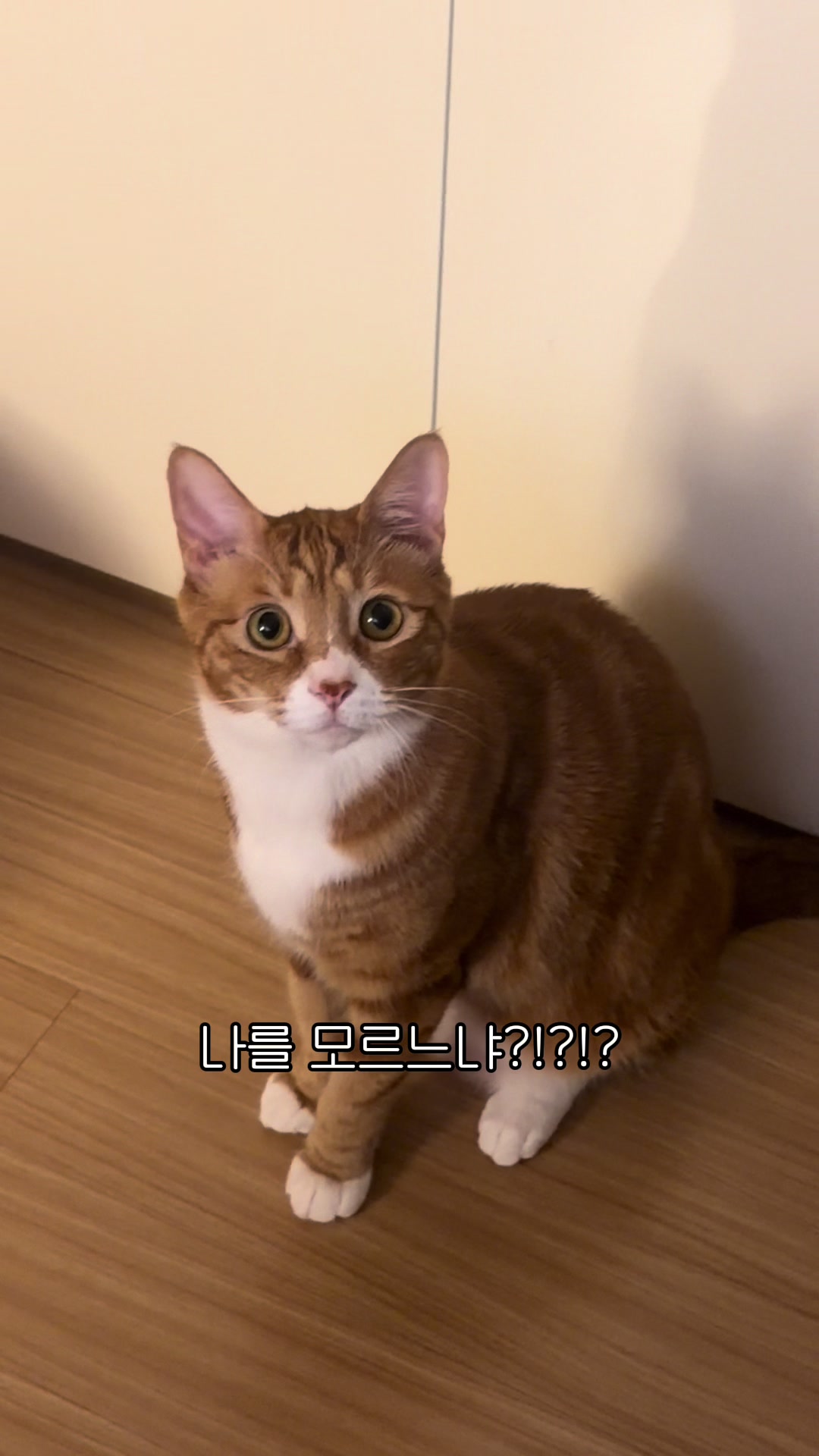 @뮤춘삼