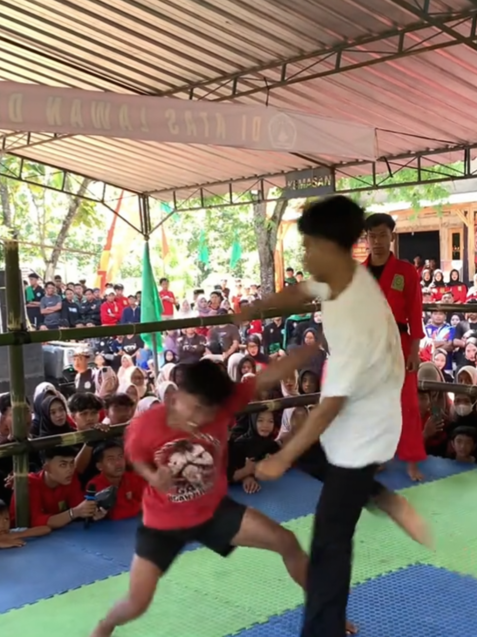 @๐ฟ๐๐๐๐๐ ๐๐๐๐๐๐ 86