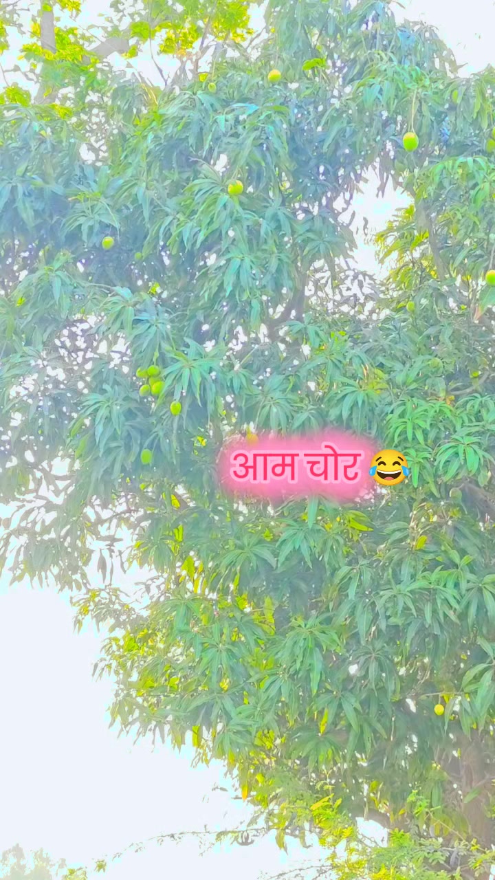 @shivkant Mandal