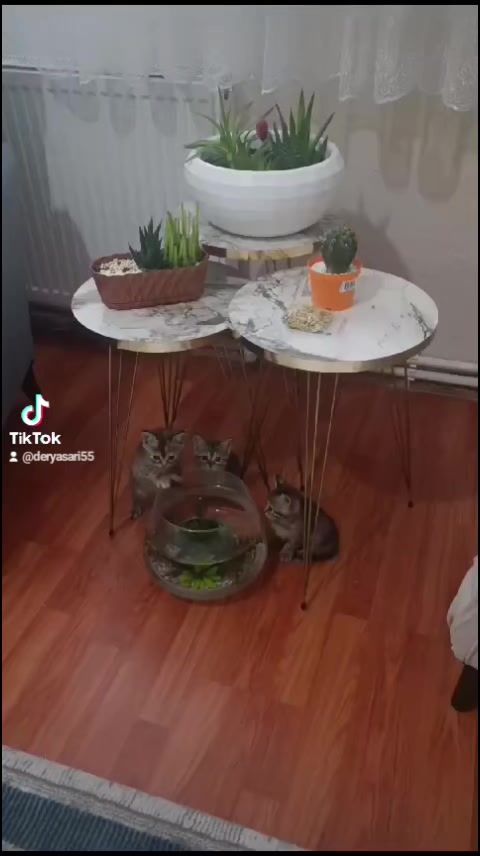 @deryasarı5541