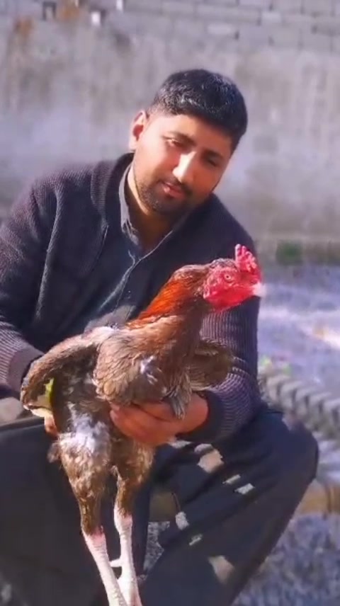 @Ahsan khan 123