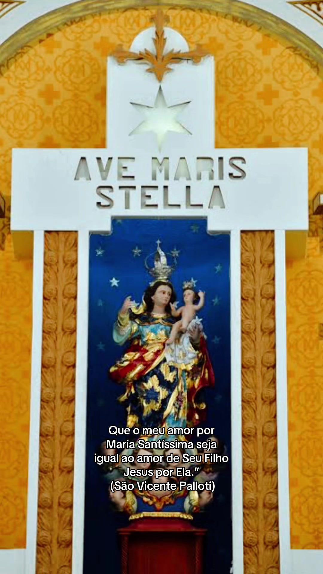 @thaynnarasilva 🇻🇦