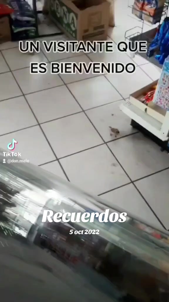 @DonMele