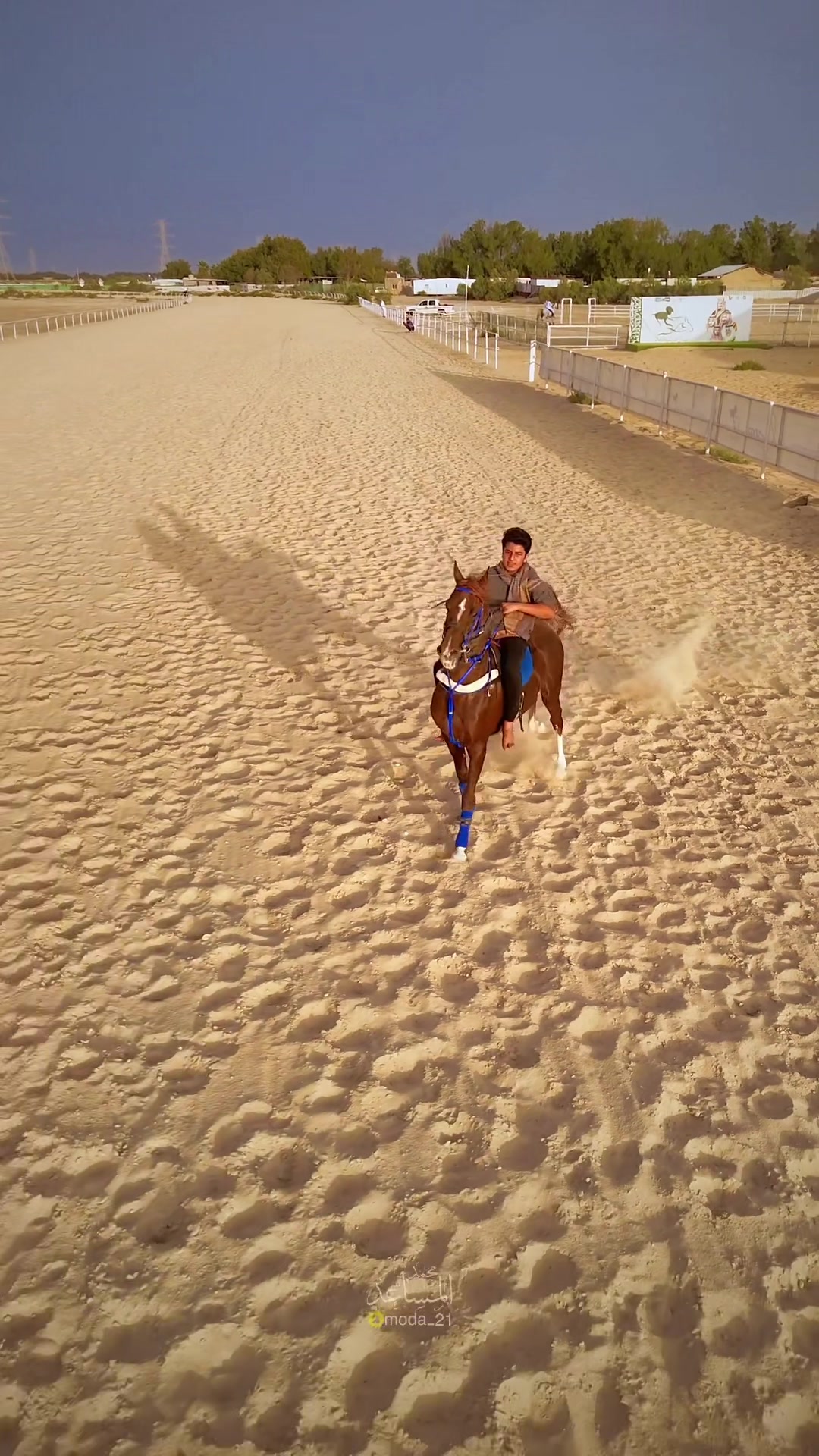 @محمد المساعد🐎📸