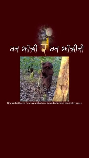 @bibek_donna