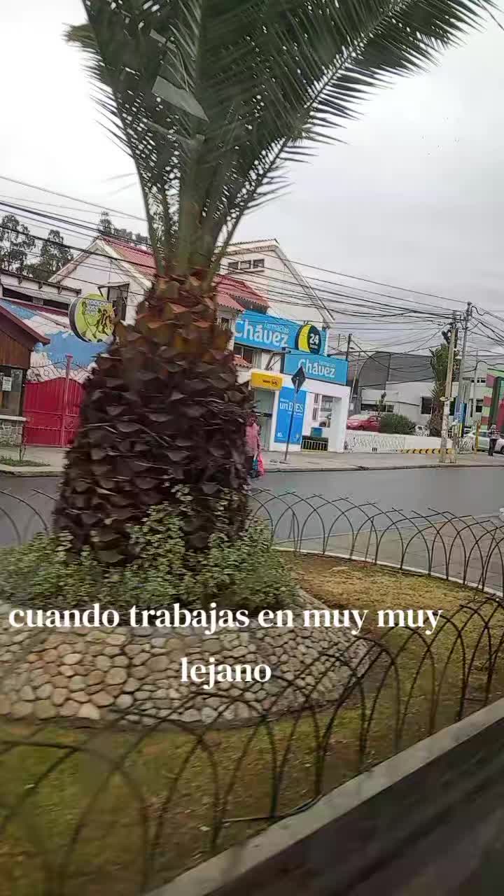 @Diwen Fecevi