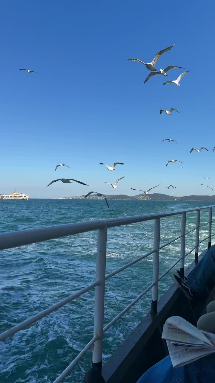 @𝒵𝒶𝒽𝓇𝒶💫✨