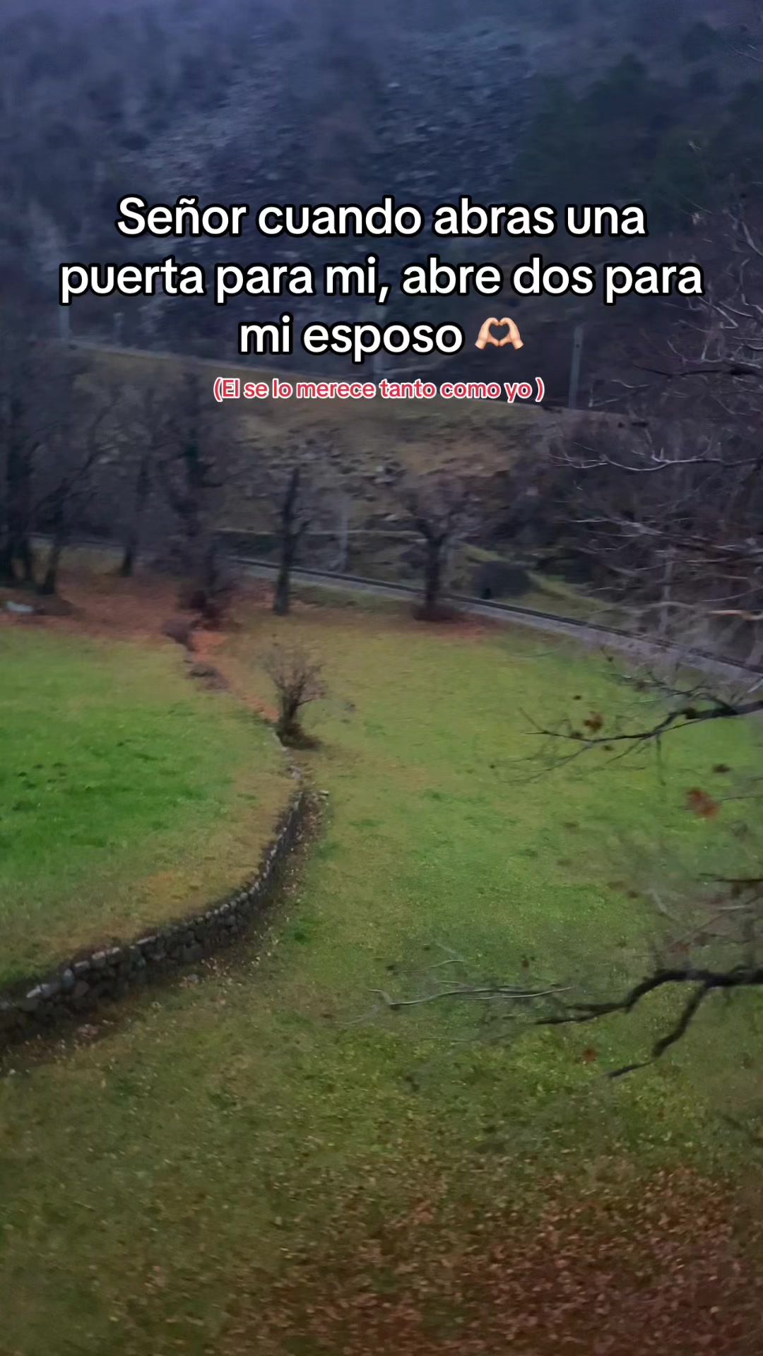 @Mariana Gil