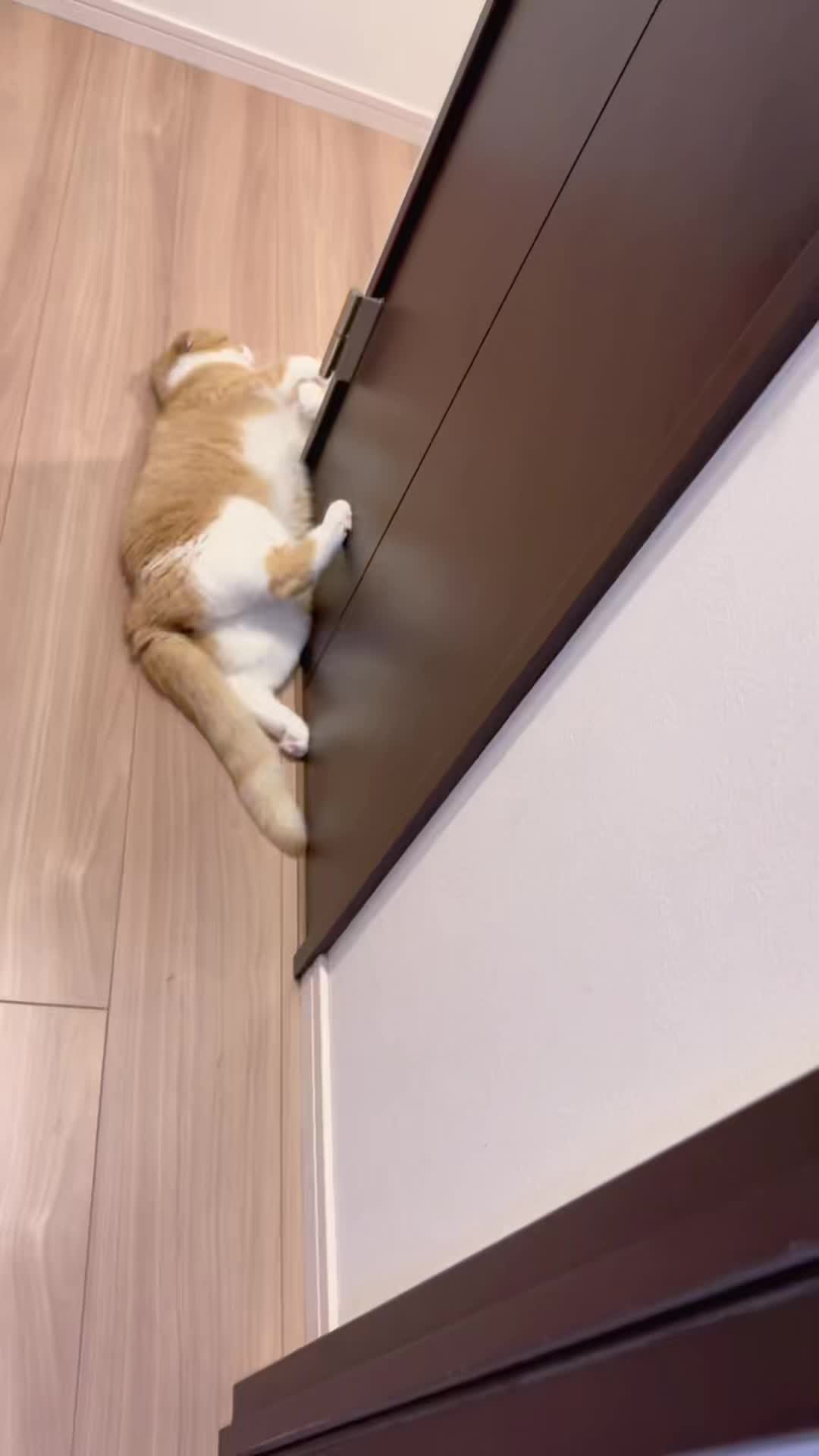 @マロン
