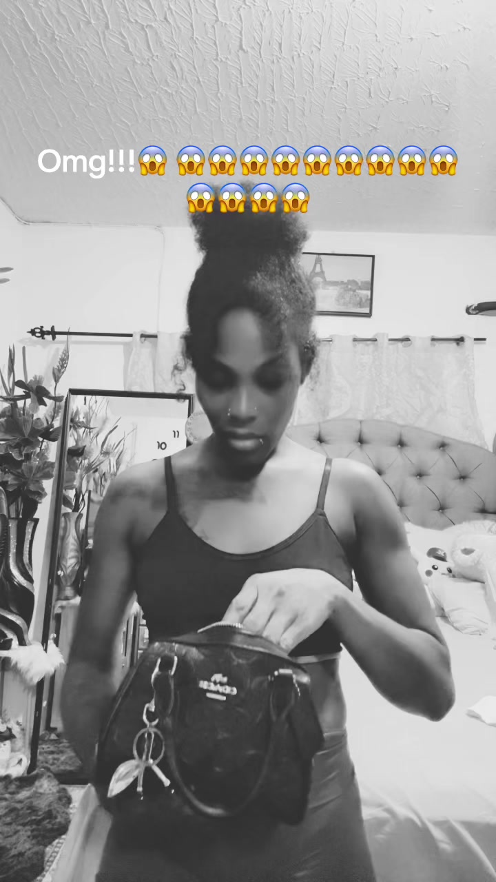 @GazanationSteffy