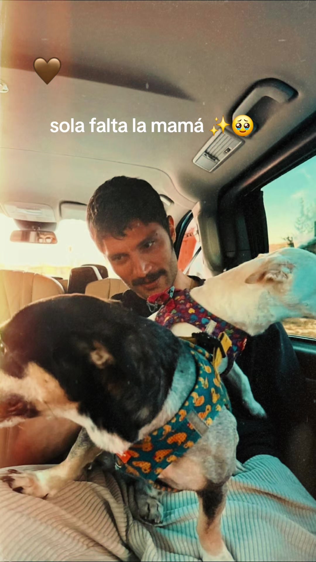 @TuSerieFav