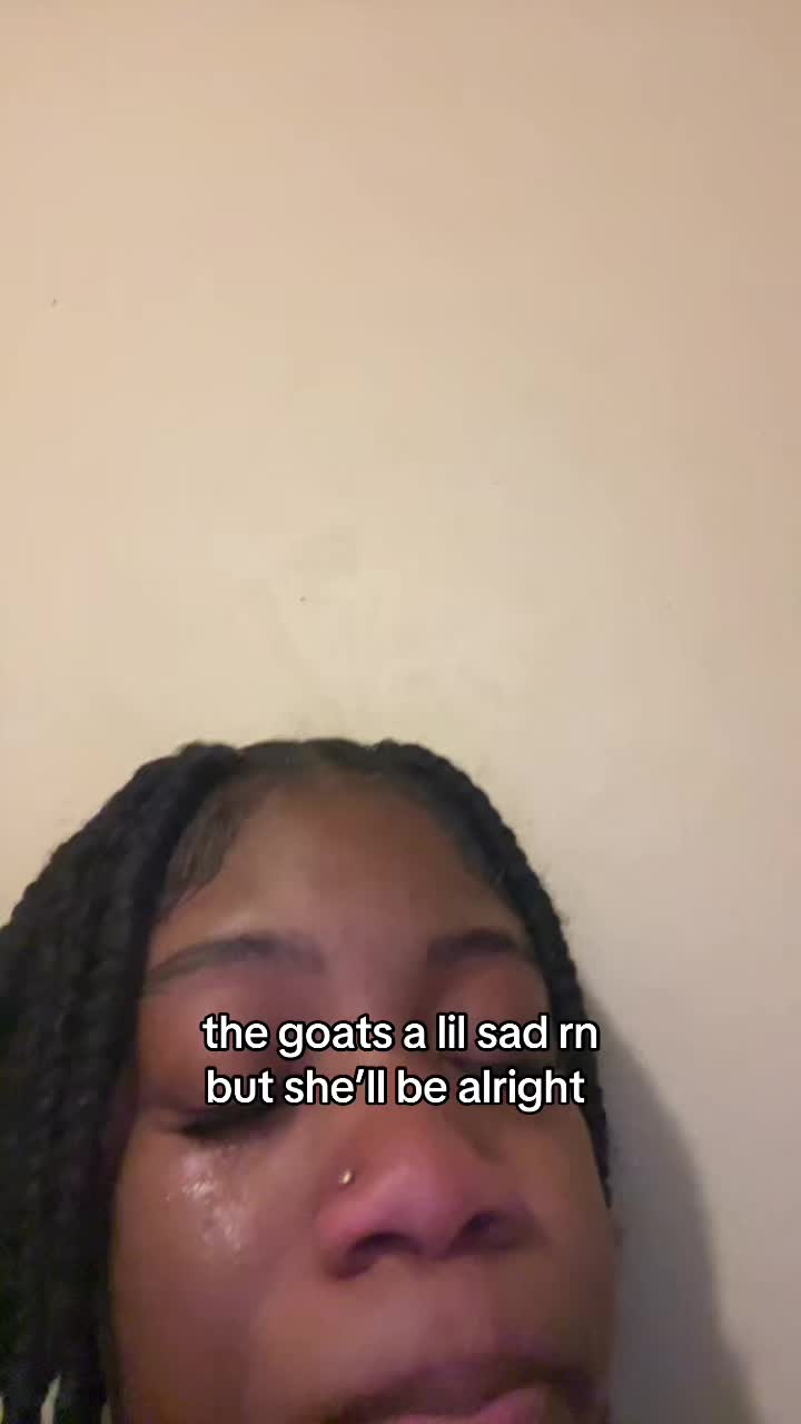 @hi