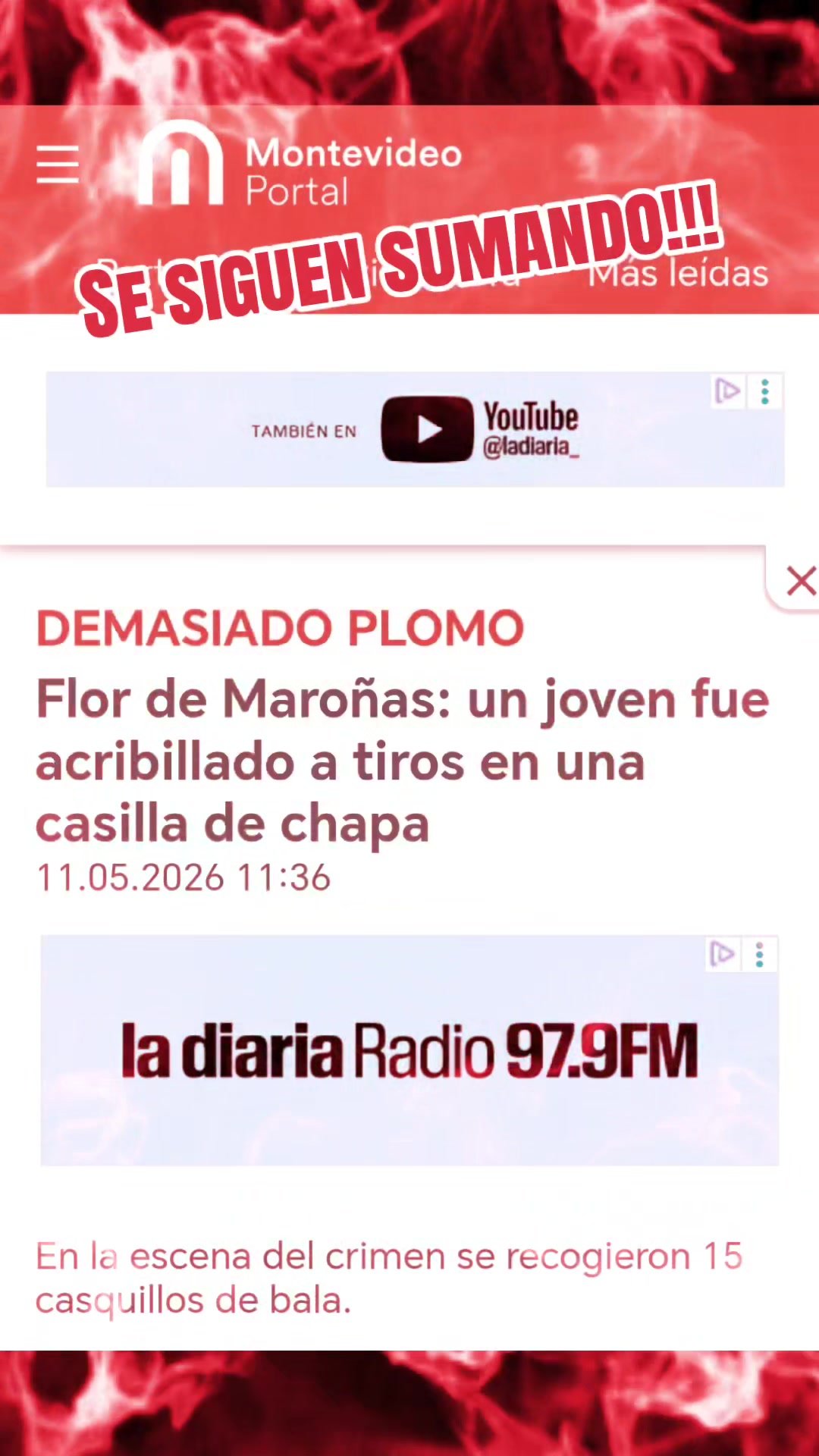 @Miguel.A.Astraldi