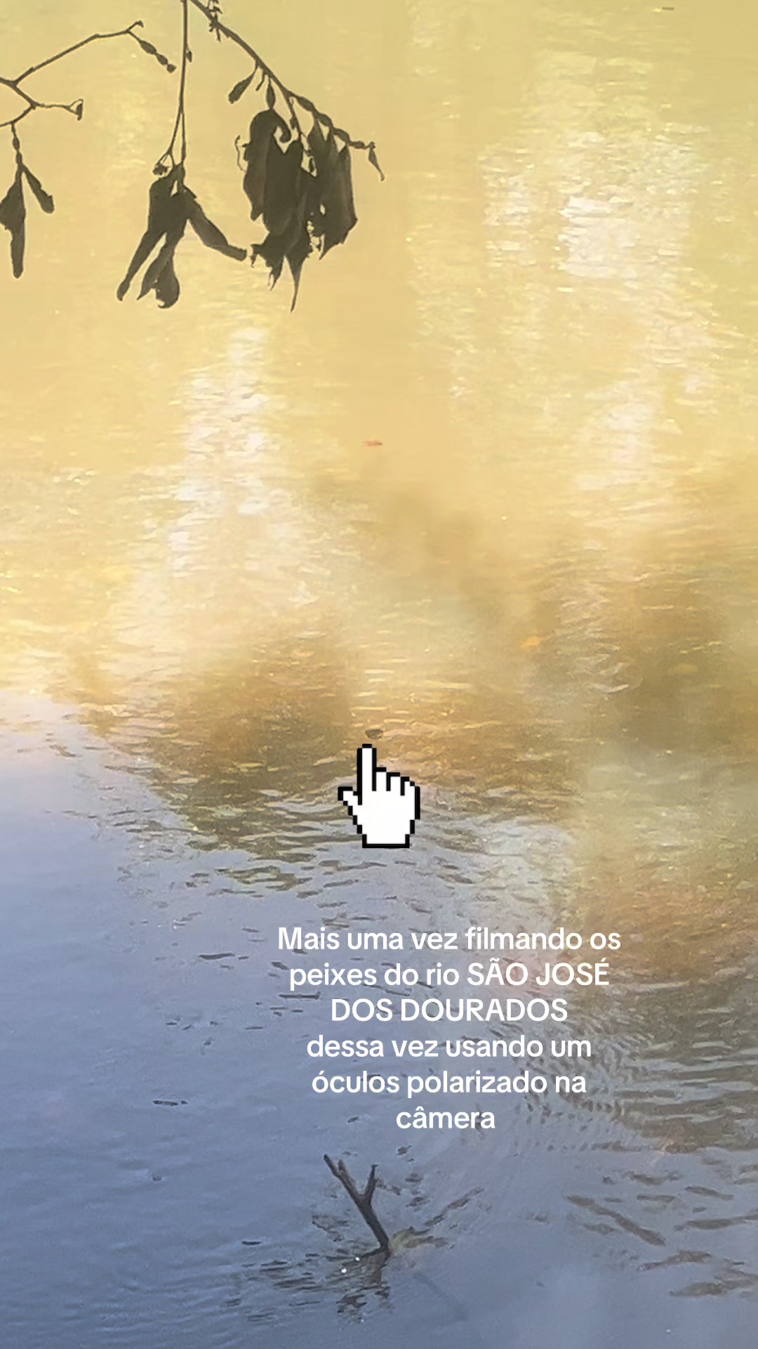 @Gabriel na pesca 🎣