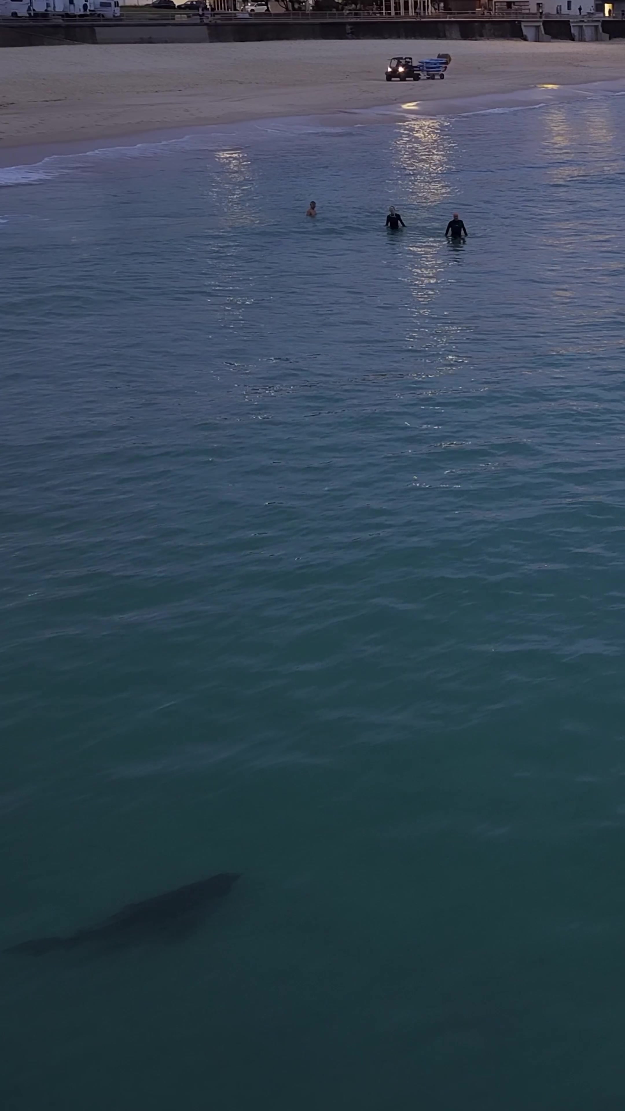 @Dronesharkapp