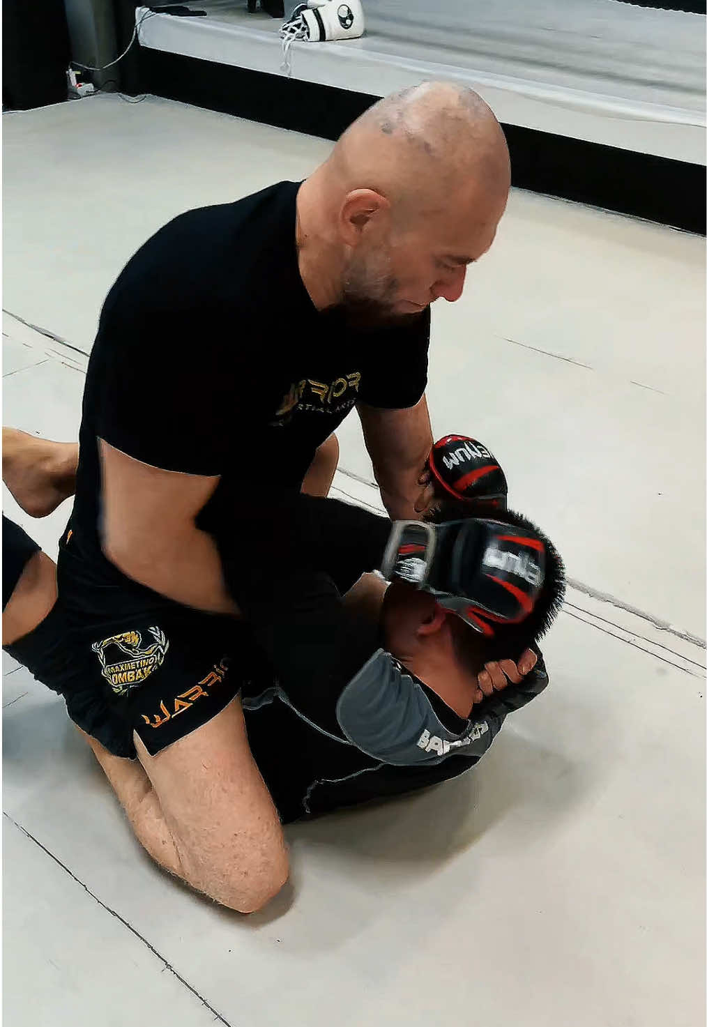 @warrior.mma_hq