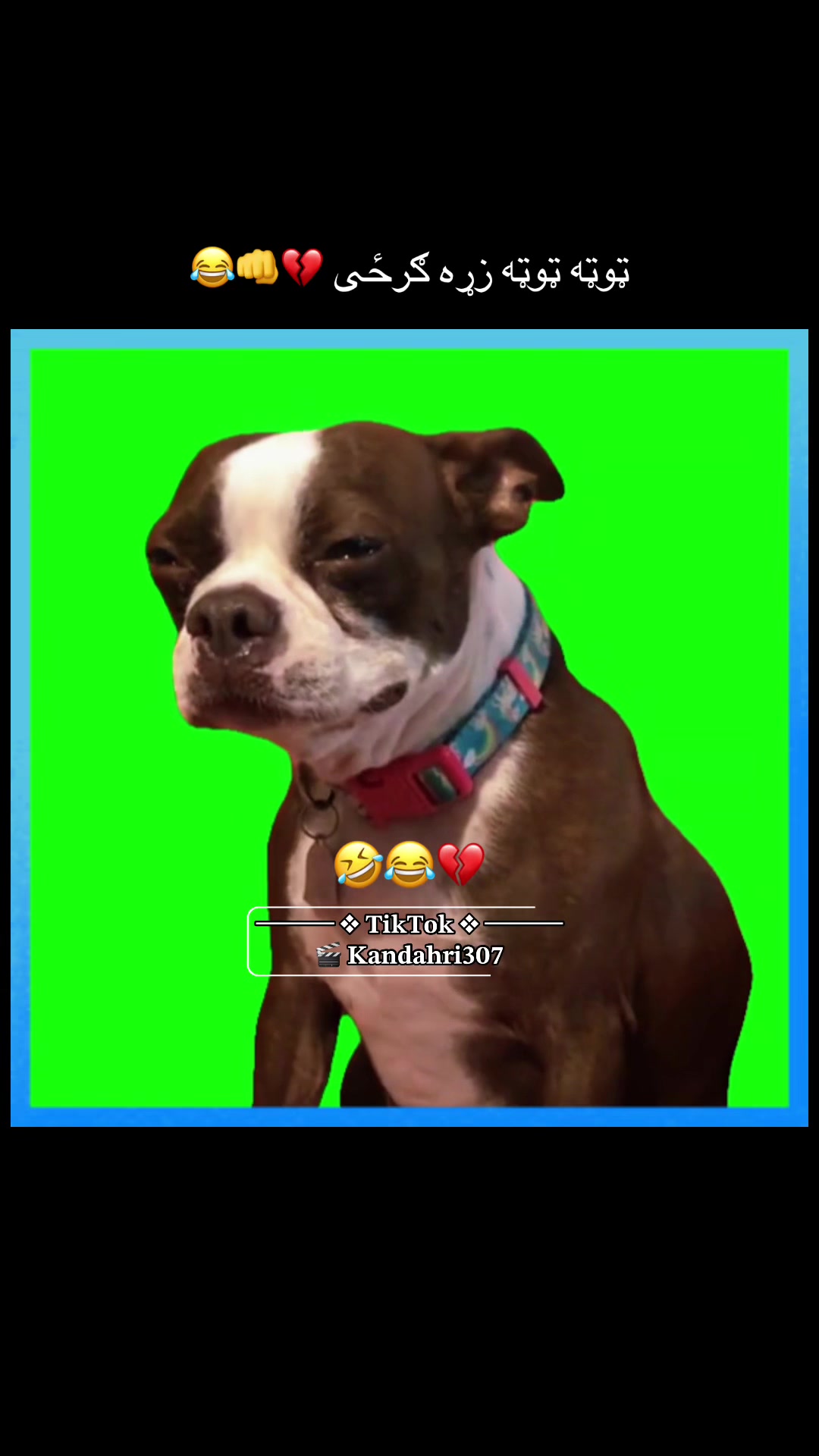 @ᗩᕼS͓̽ᗩᑎ KᗩᑎᗪᗩᕼᗩᖇIོ ✨🧿♛