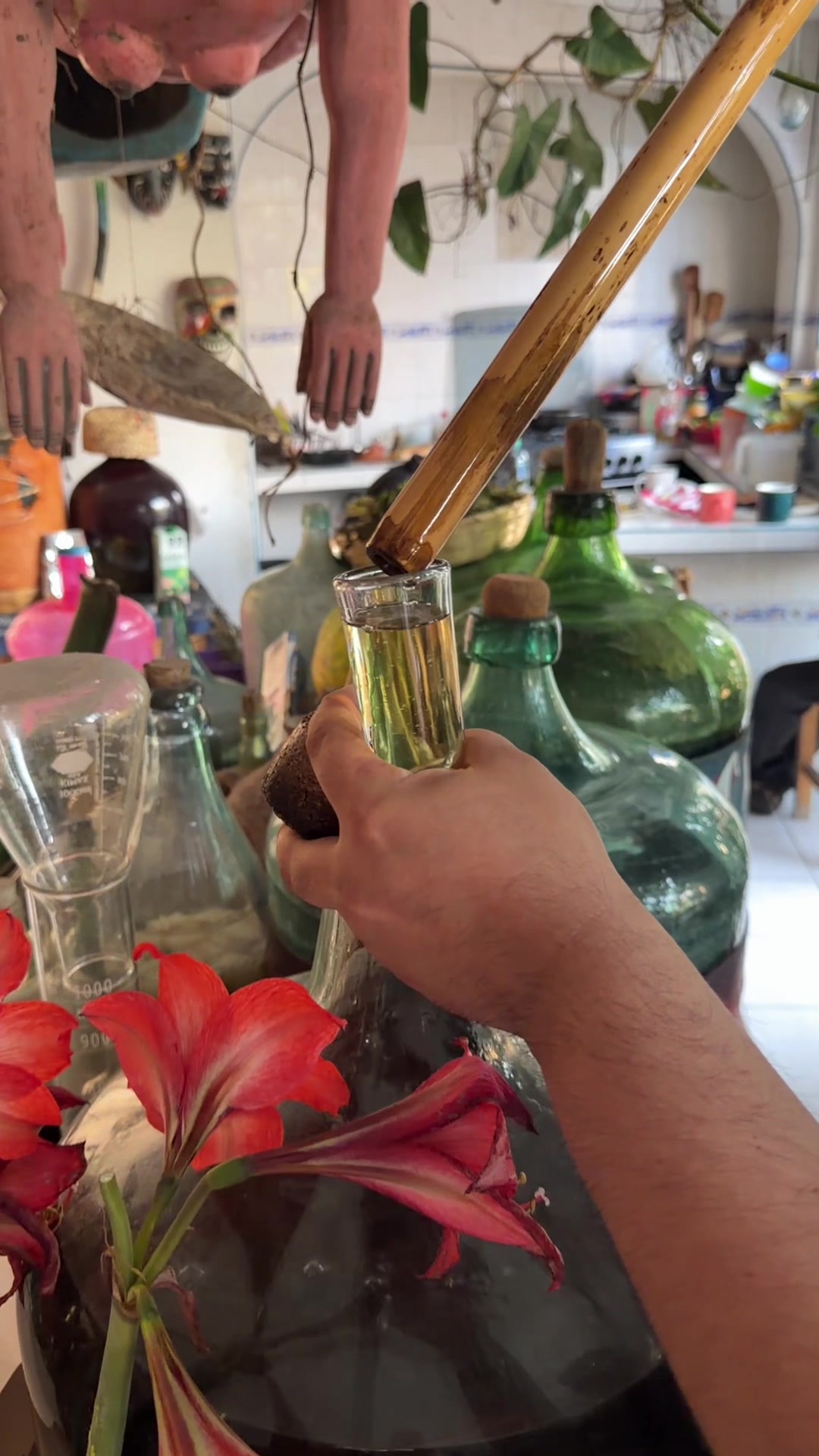 @Ulysses Roman