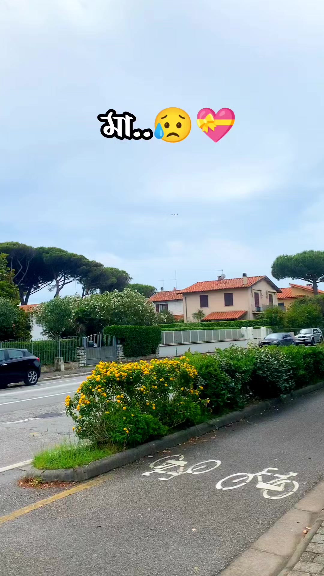 @আম্মুর ছোট নবাব..🇧🇩🇮🇹