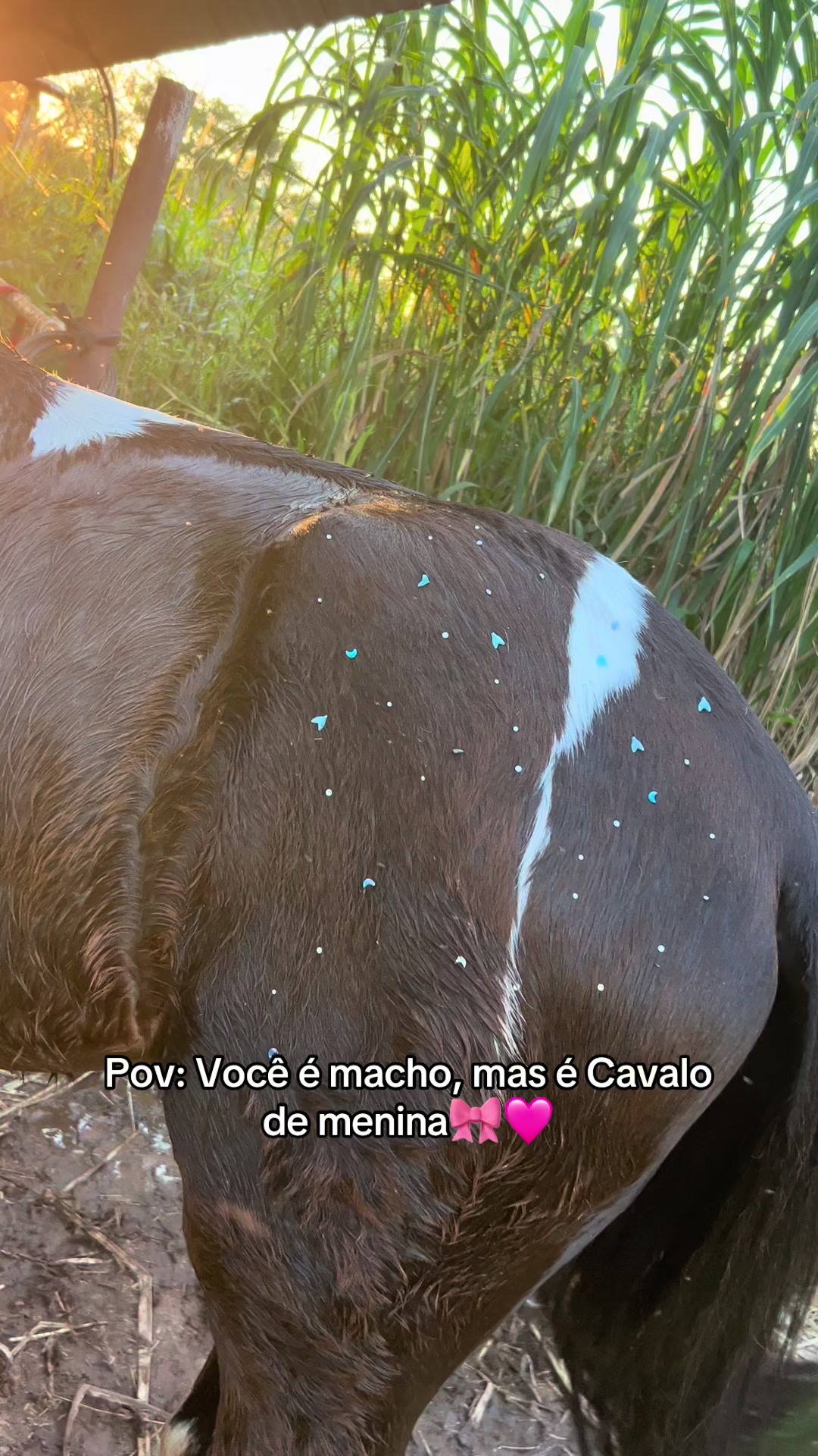 @Namorada do canteli 🤍