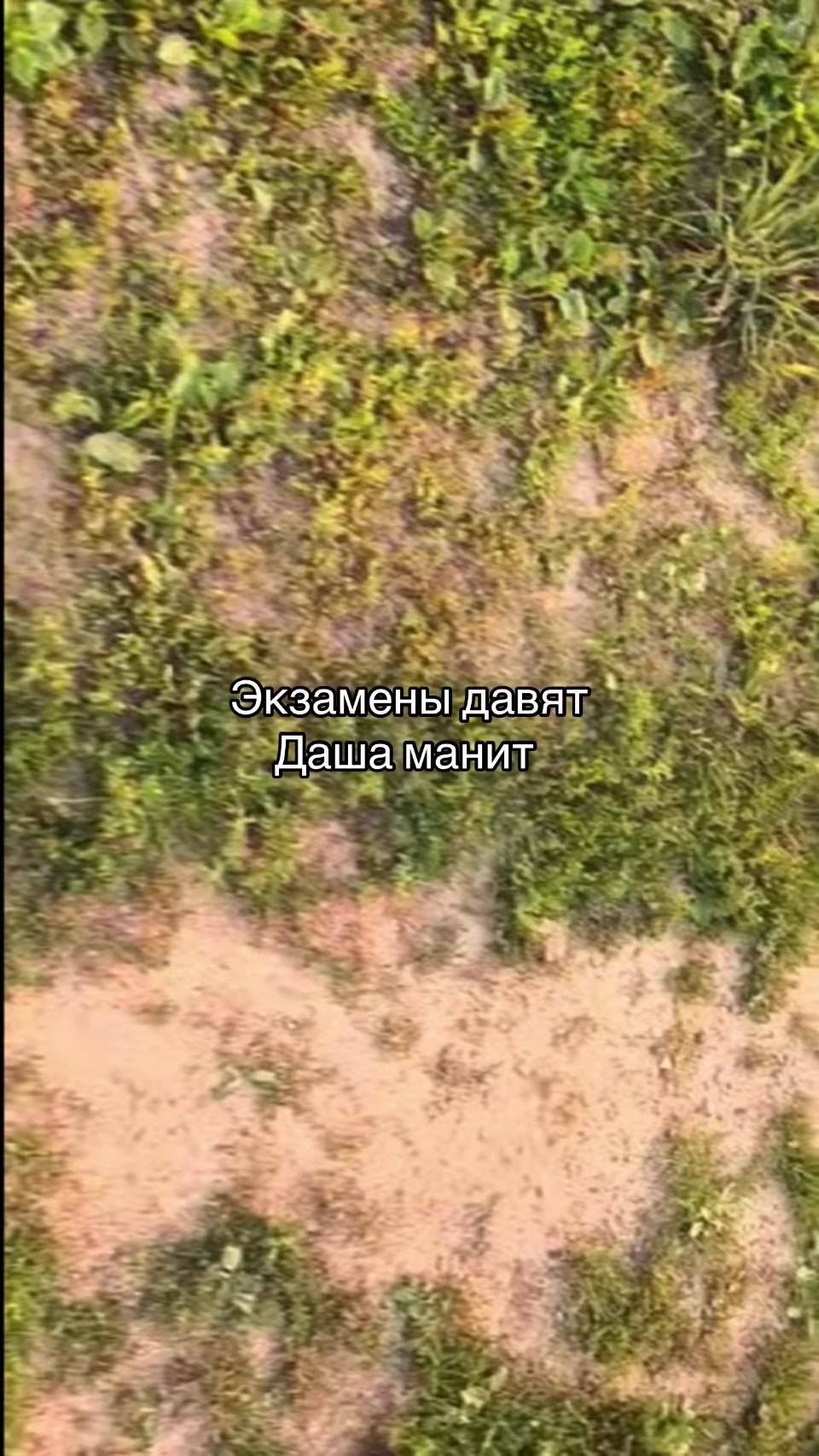 @я люблю Дашу❤️