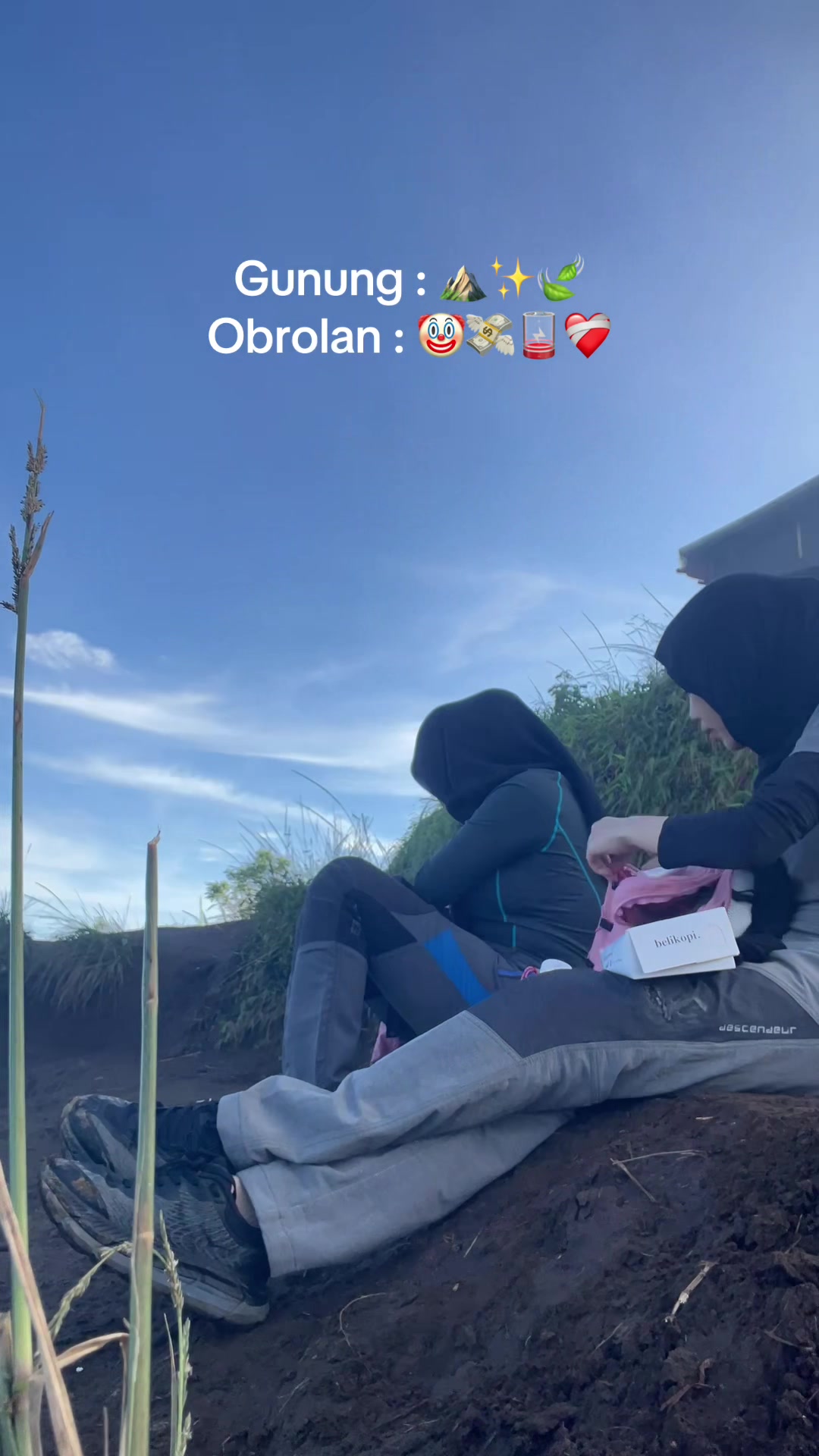 @dipsyvsl