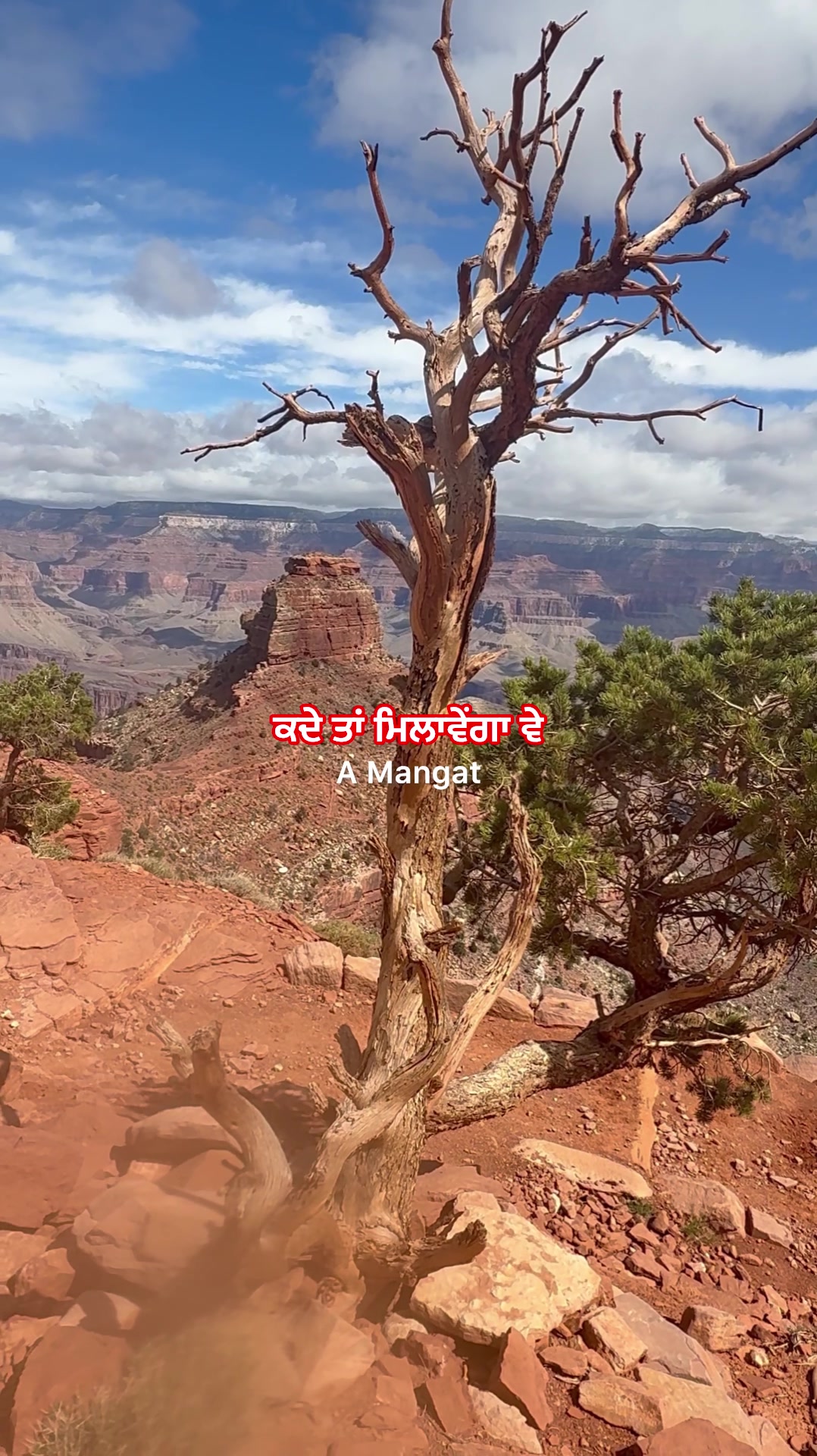 @A Mangat