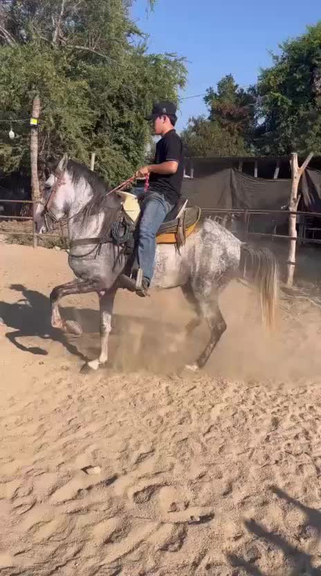 @K.borja🐴