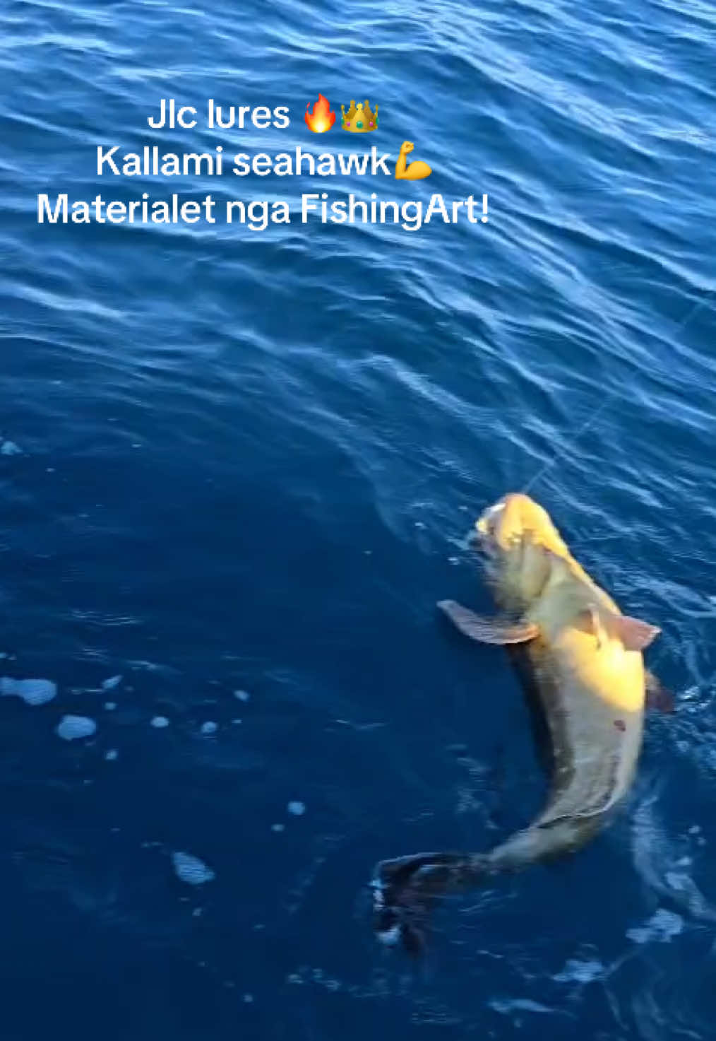 @FishingArt dyqan peshkimi