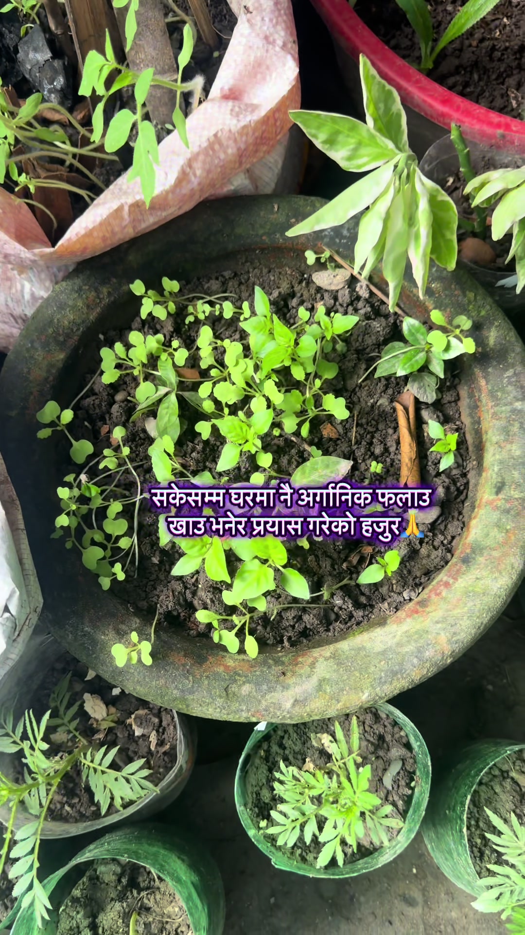 @नाना 🧘&zwj;♀️💚