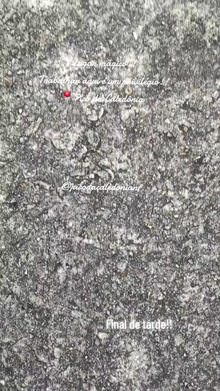 @sjb.adesivos