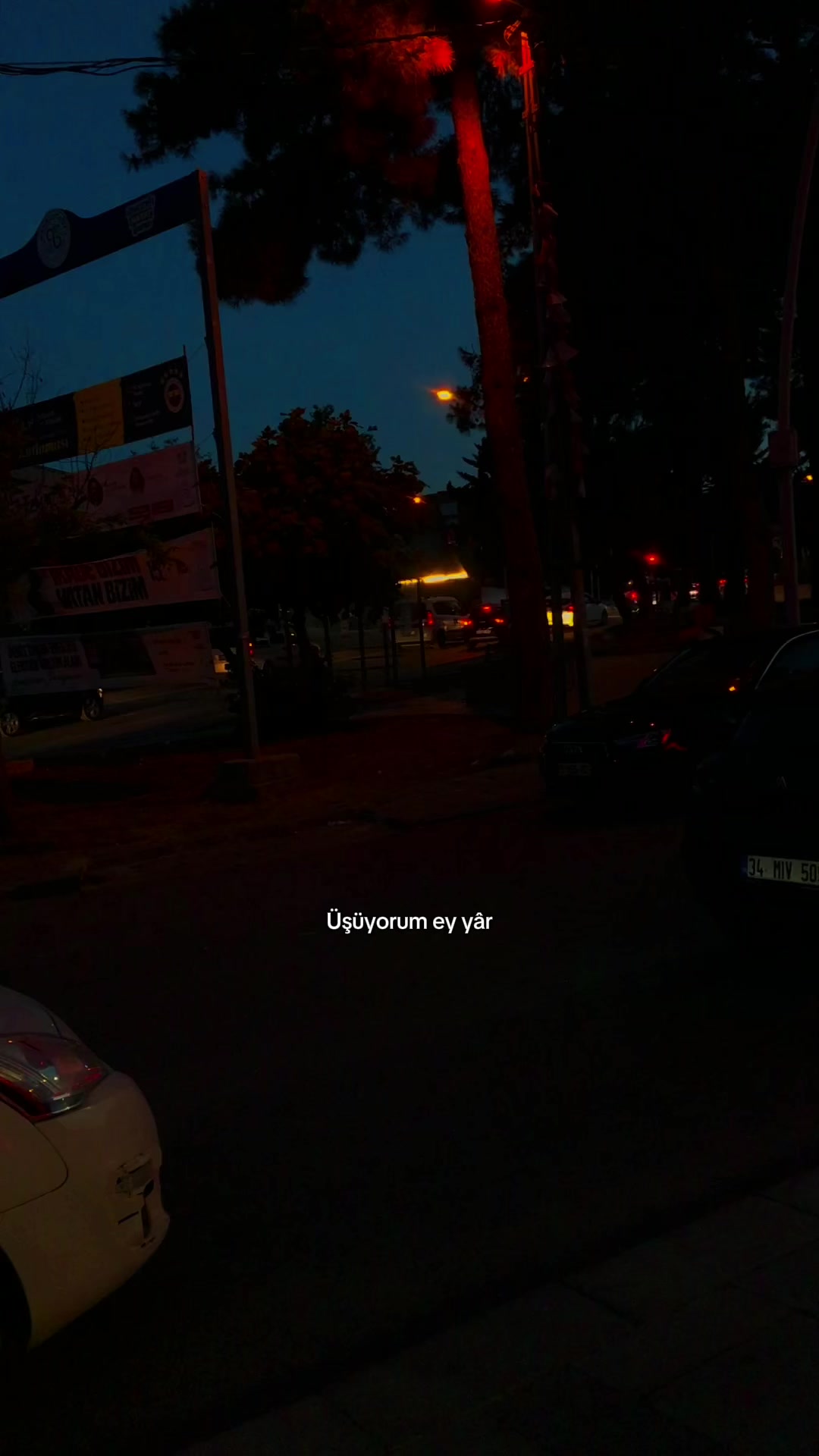 @𝑩&uuml;𝒏𝒚𝒂𝒎𝒊𝒏⚡️