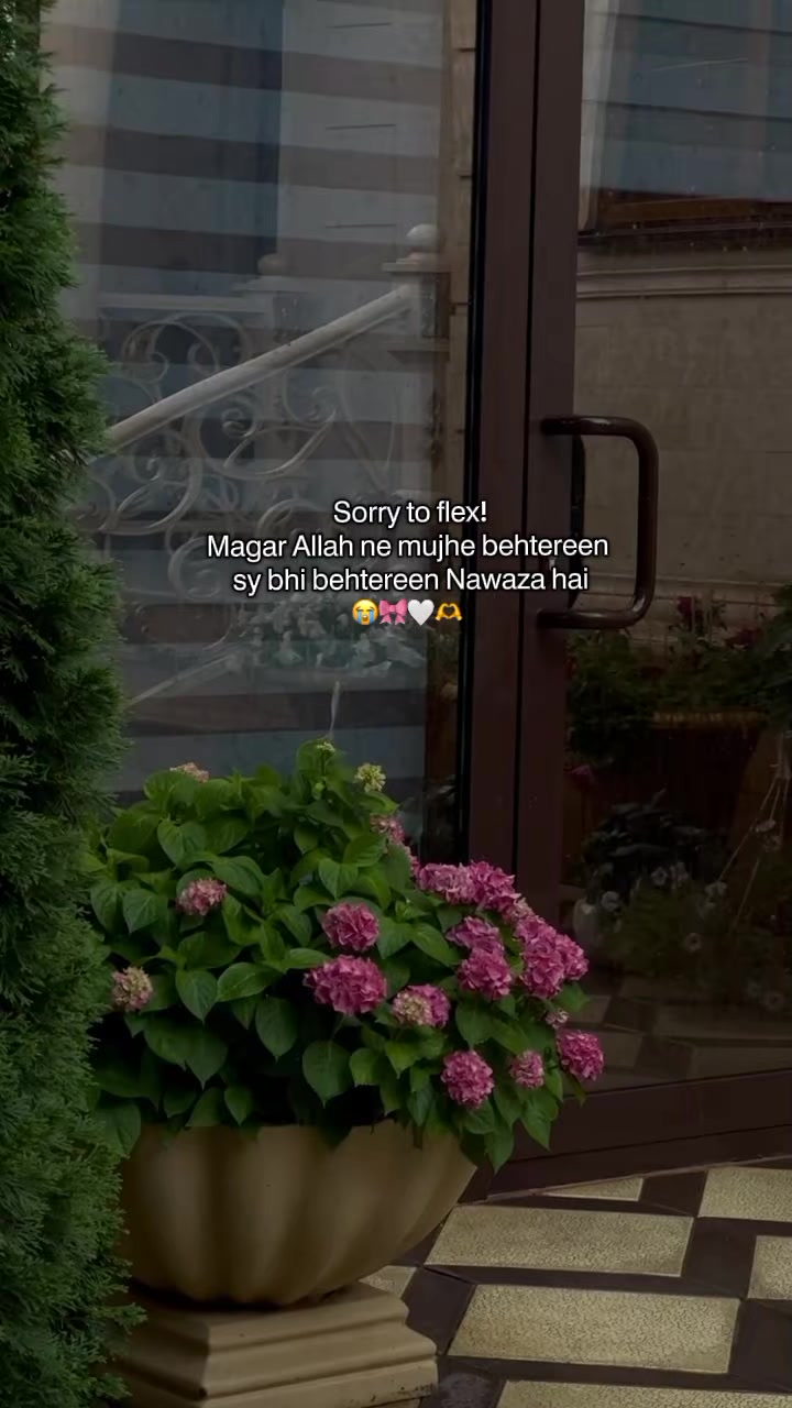 @SHAZI𖤍🥶⃤